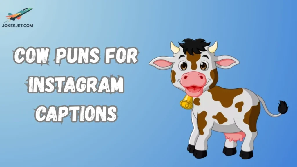Cow Puns for Instagram Captions