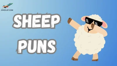 Sheep Puns