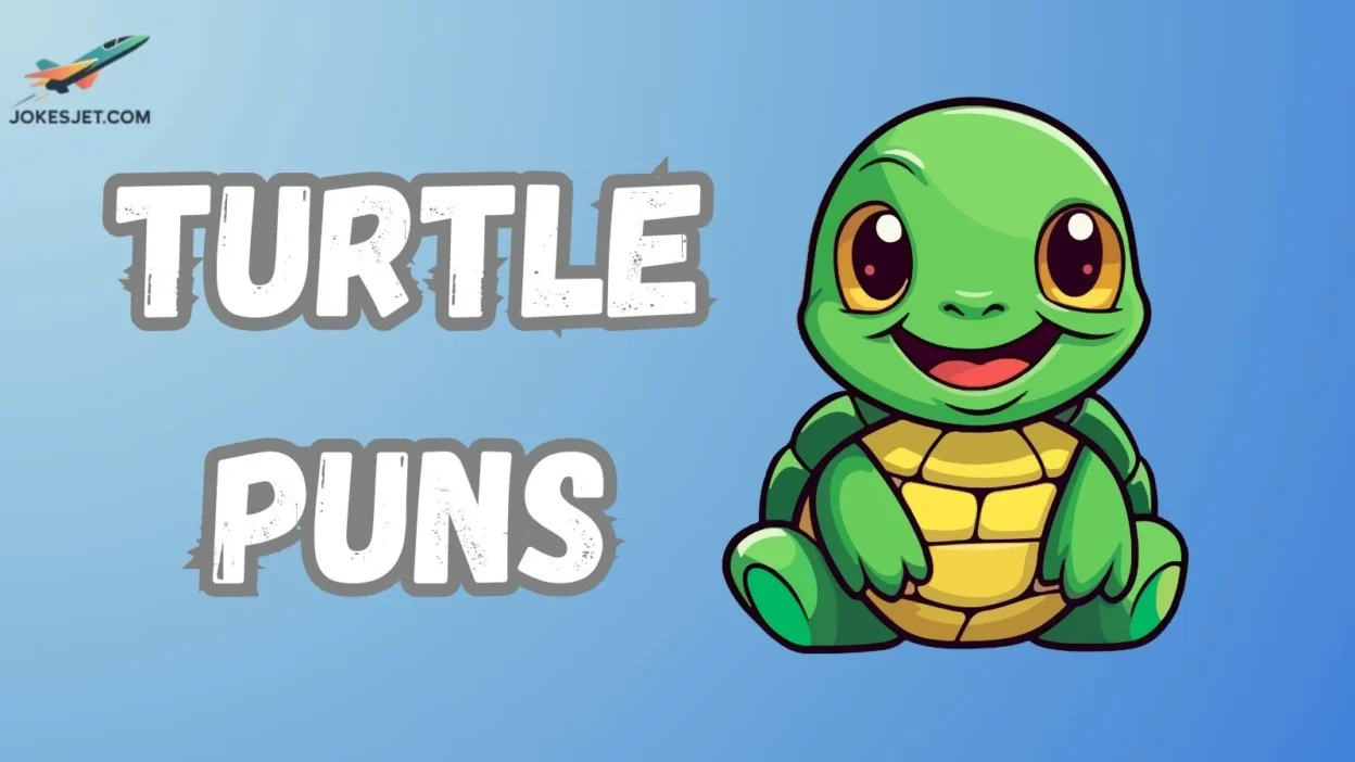 Turtle Puns