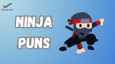 Ninja Puns