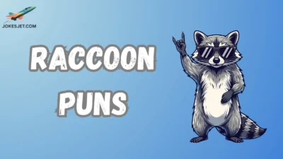 Raccoon Puns
