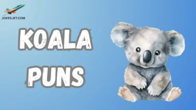 Koala Puns
